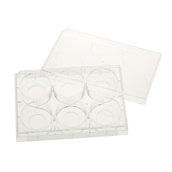 Celltreat Glass Bottom Tissue Culture Plate, 20mm Glass, Sterile, 6-Well, PK5 229107 - main